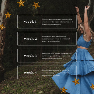The Abundance Academy (Money Mindset & Energetics Course) 💸